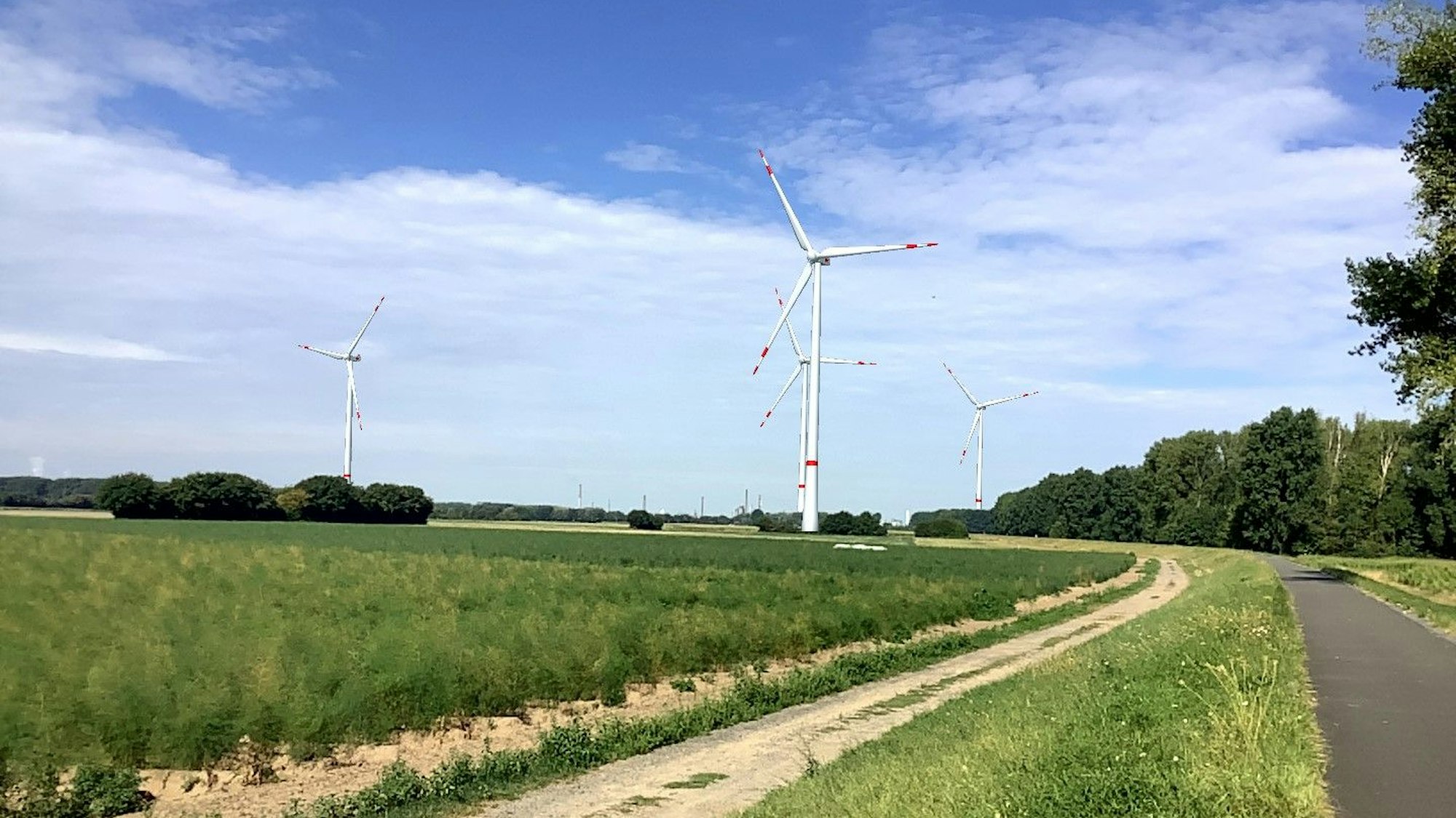 Windräder stehen an der Straße.