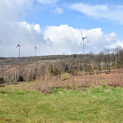 Blick vom Hohen Wäldchen Richtung Westen. Auf den Freiflächen, die der Borkenkäferbefall hinterlassen hat, möchte eine Windecker Initiative Windräder bauen.