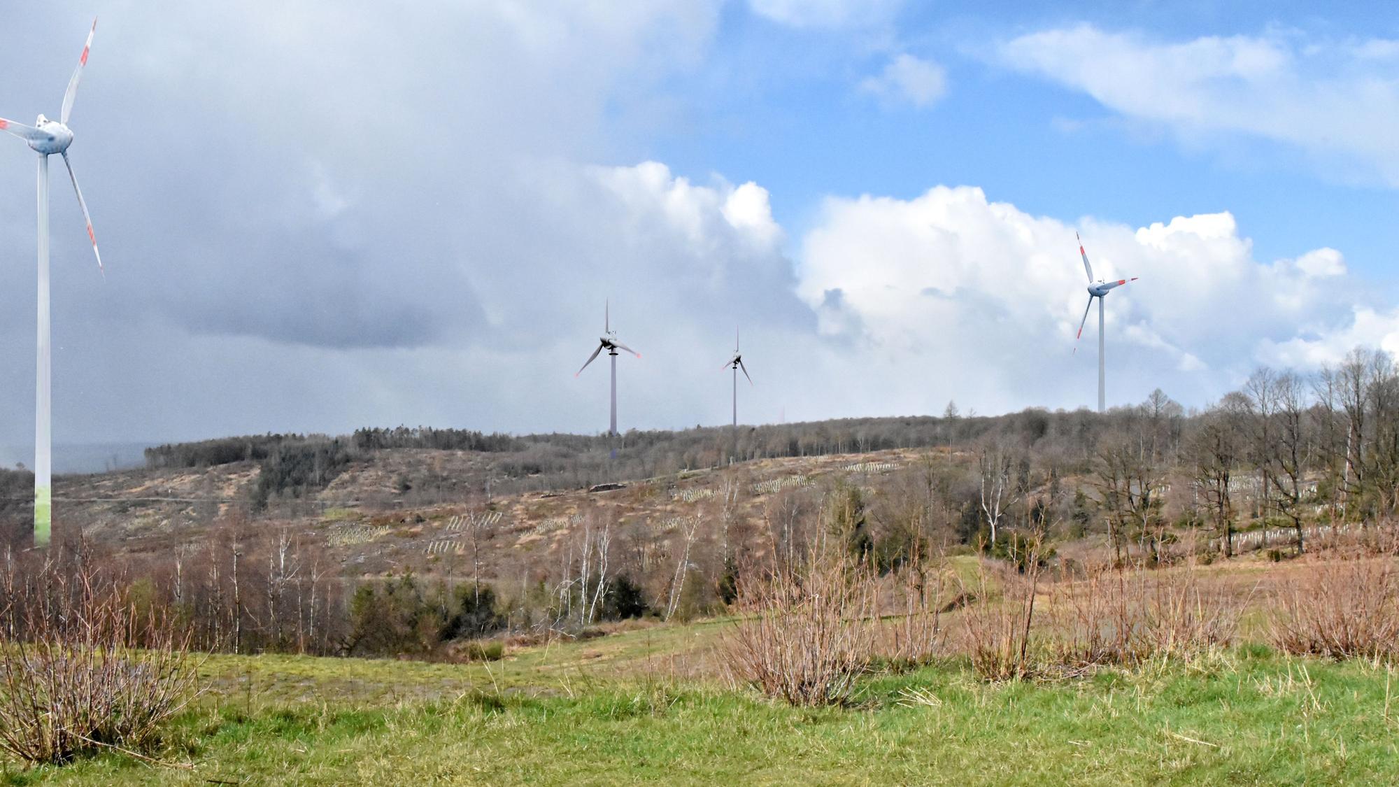 Blick vom Hohen Wäldchen Richtung Westen. Auf den Freiflächen, die der Borkenkäferbefall hinterlassen hat, möchte eine Windecker Initiative Windräder bauen.