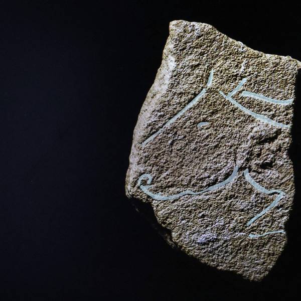 This photo taken on March 30, 2023 in Nimes on a computer screen shows an engraved plaque representing an isolated horse profile dating from the very beginning of the Magdelanian (- 20,000 years), during the presentation of a discovery by a team of Inra archaeologists during excavations at the Bellegarde site, south of France. (Photo by Pascal GUYOT / AFP)