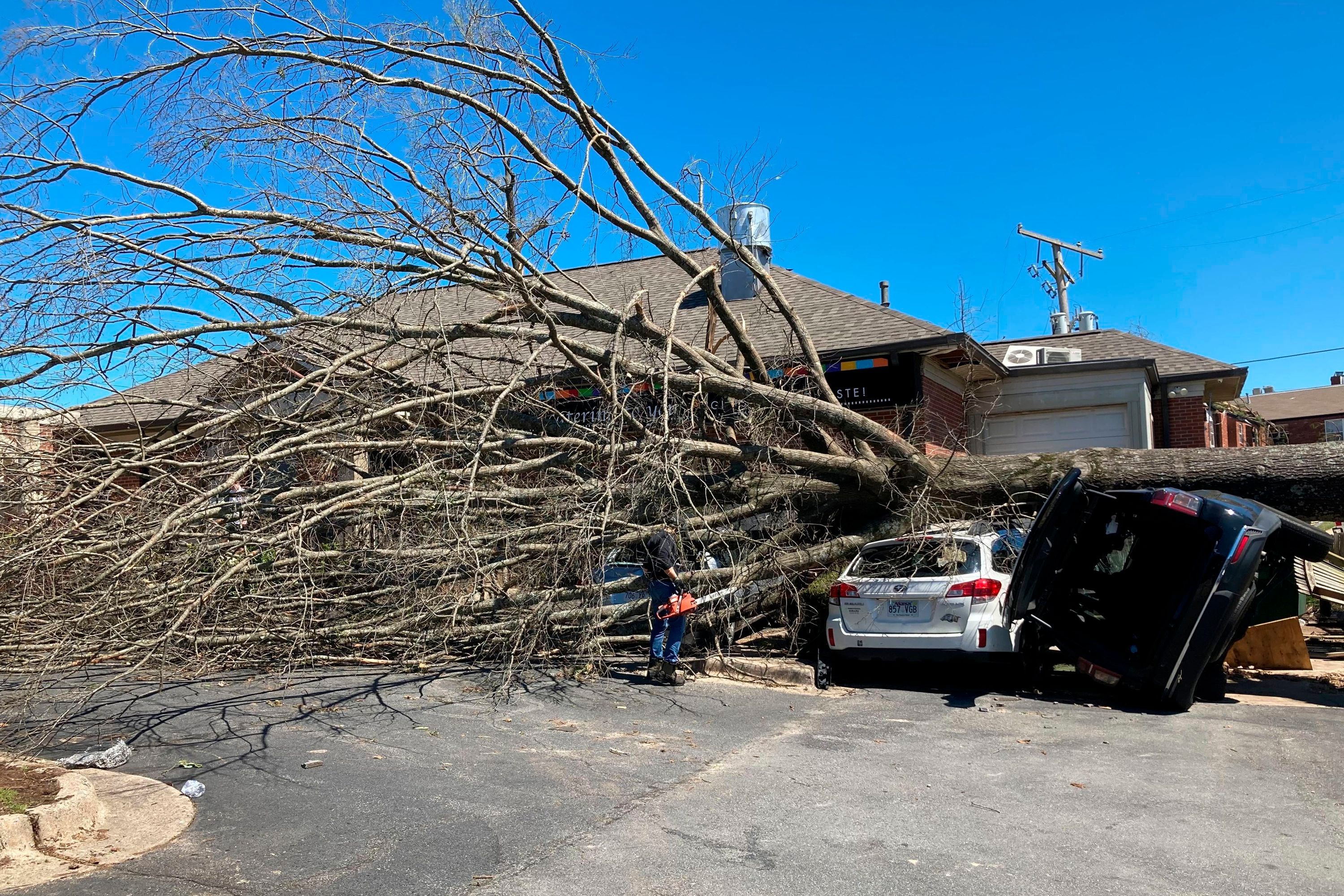 Little Rock: Ein Baum liegt auf zerstörten Fahrzeugen, nachdem ein Tornado durch die Stadt Little Rock gezogen ist.