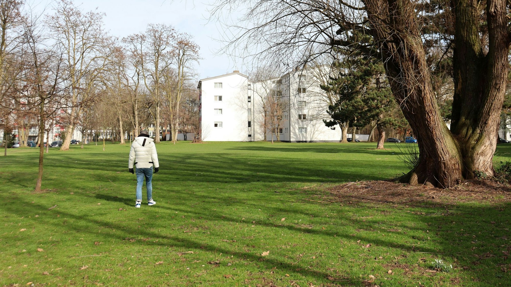 Ein Mann steht mitten auf einer Grünfläche, dort, wo die „Dewog“ vier neue Wohnhäuser bauen möchte.