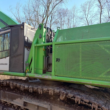 Etwa 500 Meter lang ist die Schneise, die der Treekiller in den Horremer Stadtwald geschlagen hat.