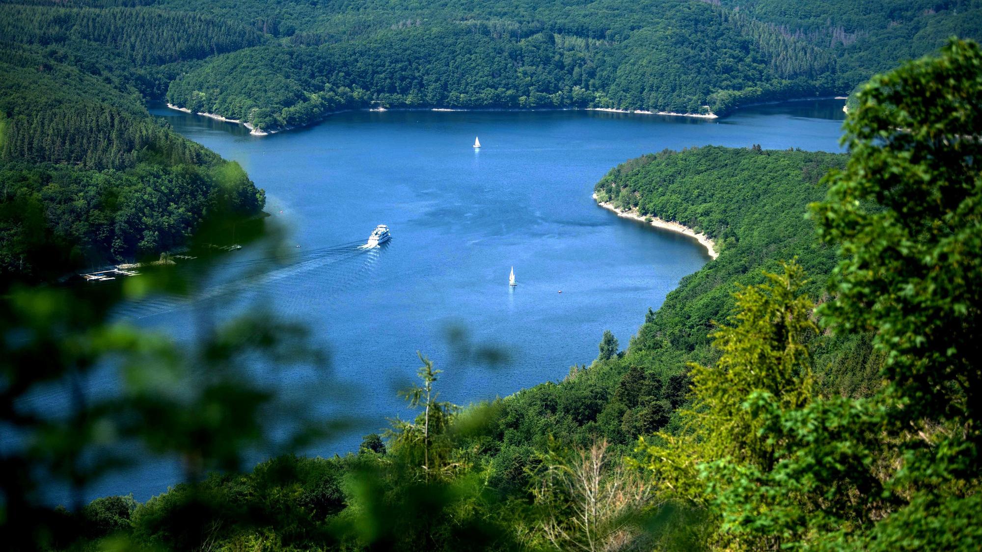 Blick auf den Rursee im Nationalpark Eifel
