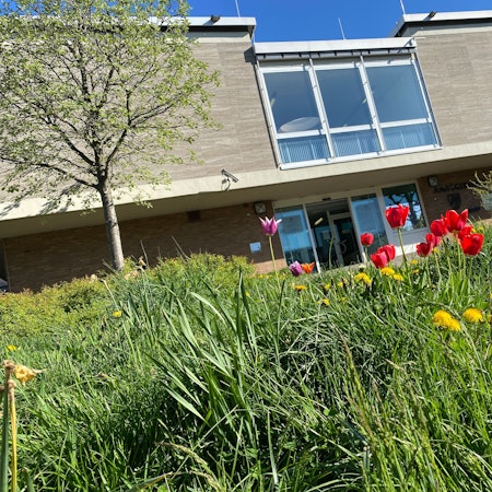 Frühlingsblumen vor dem Amtsgericht in Bensberg.