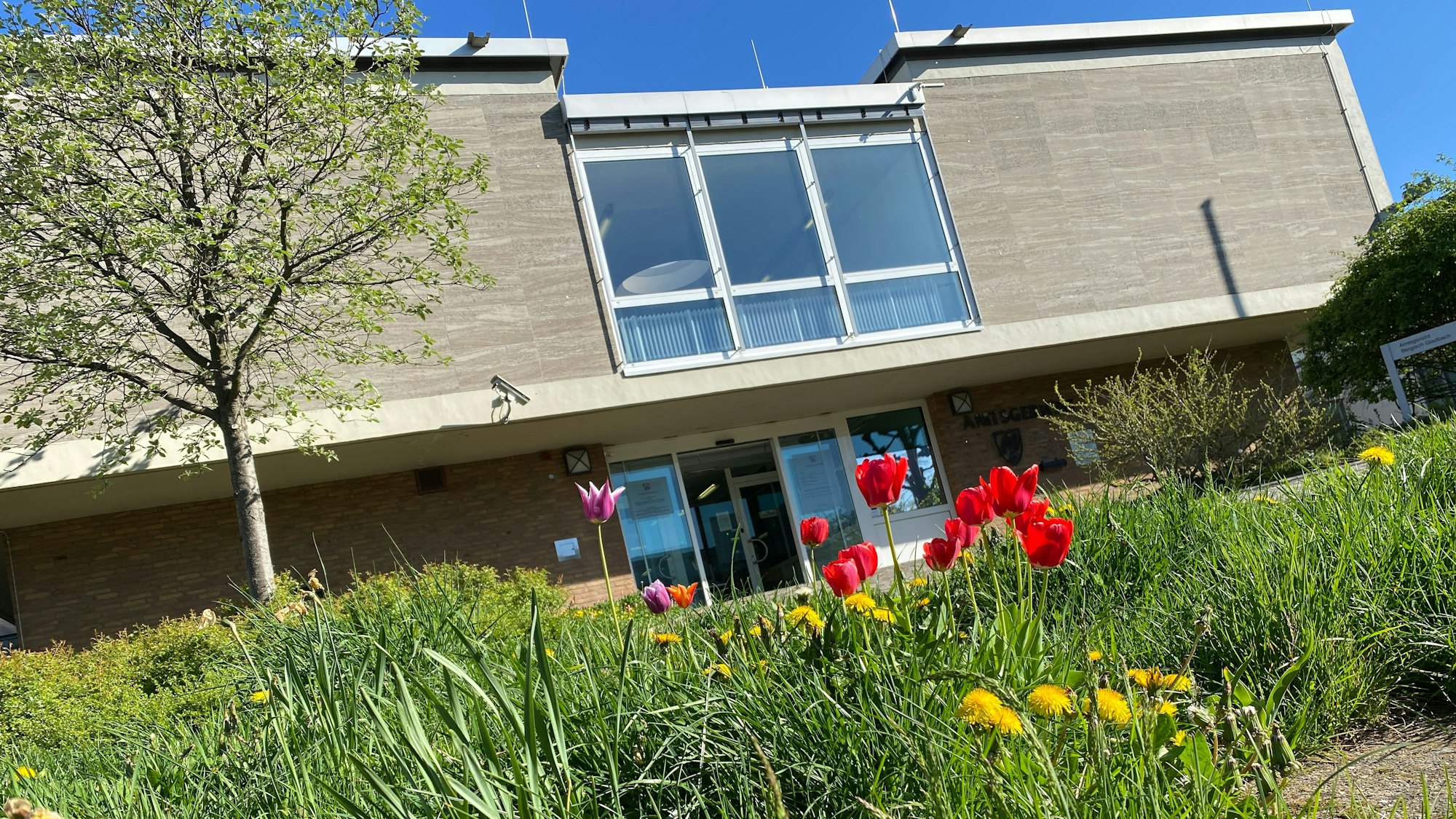 Frühlingsblumen vor dem Amtsgericht in Bensberg.