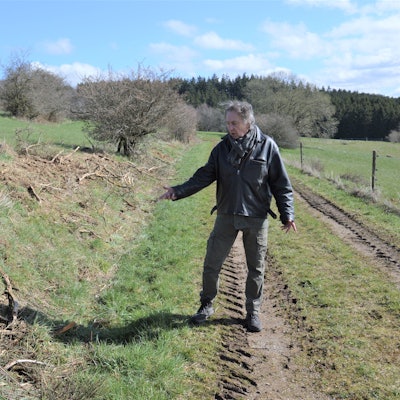 Zerstörte Hecken bei Benenberg