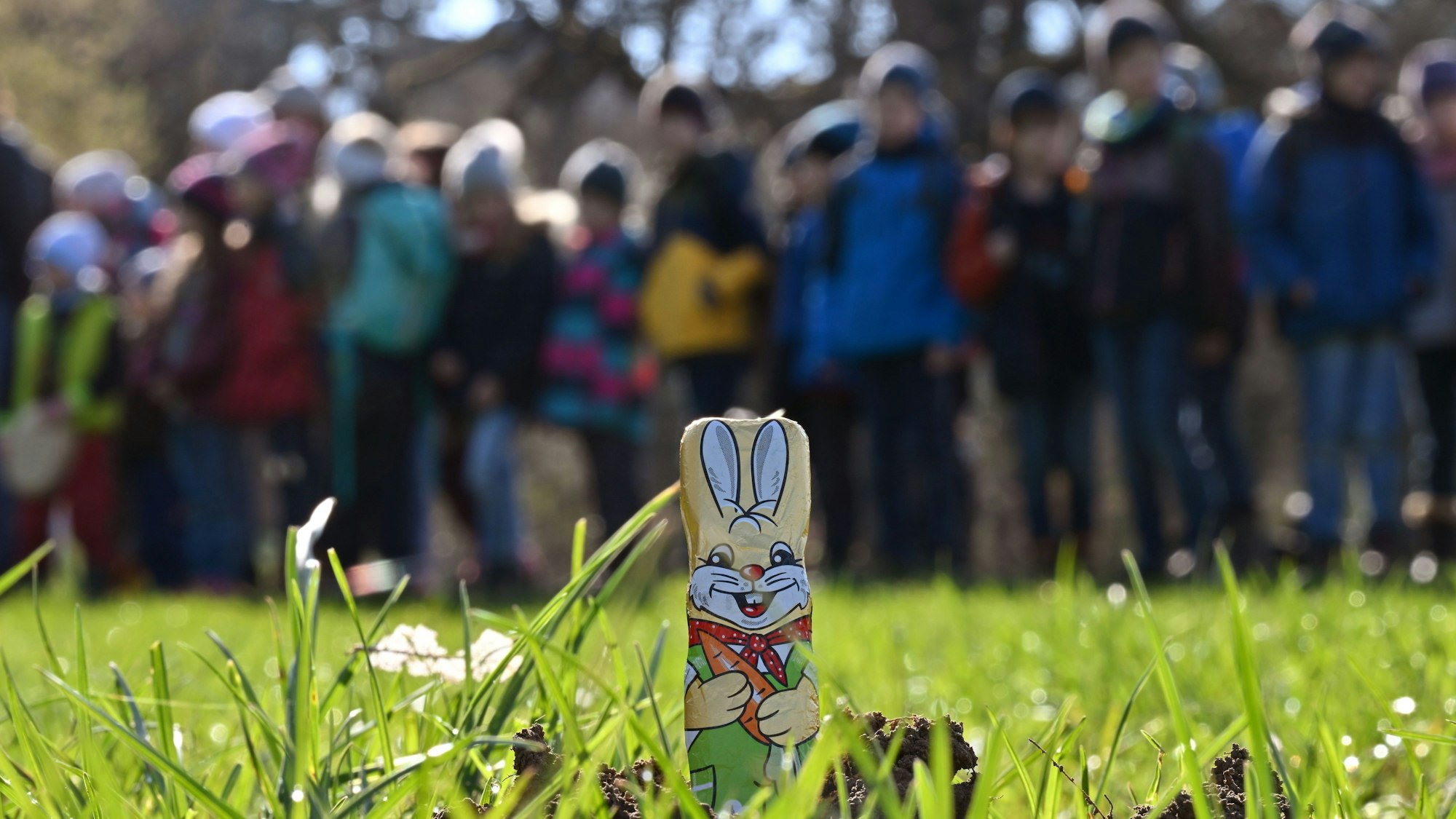 Ein Schokoladenhase liegt im Gras.