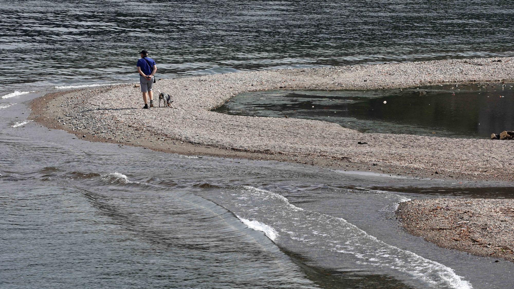 Ein Mann geht mit seinem Hund am Comer See spazieren.