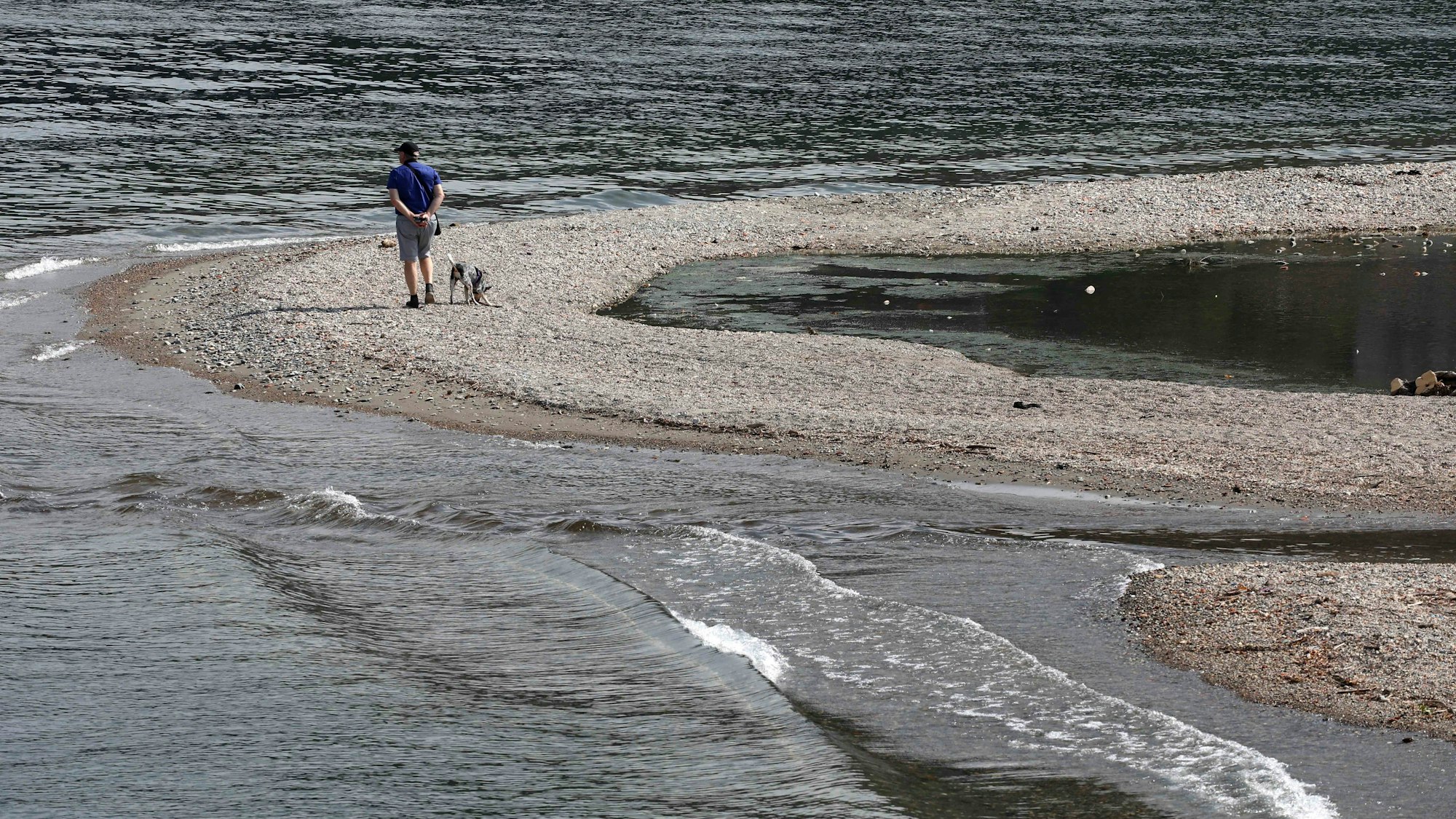 Ein Mann geht mit seinem Hund am Comer See spazieren.
