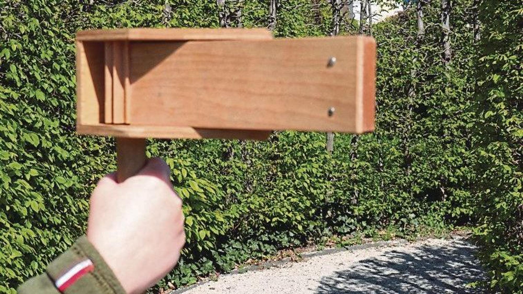 Das Bild zeigt eine Raspel aus Holz.