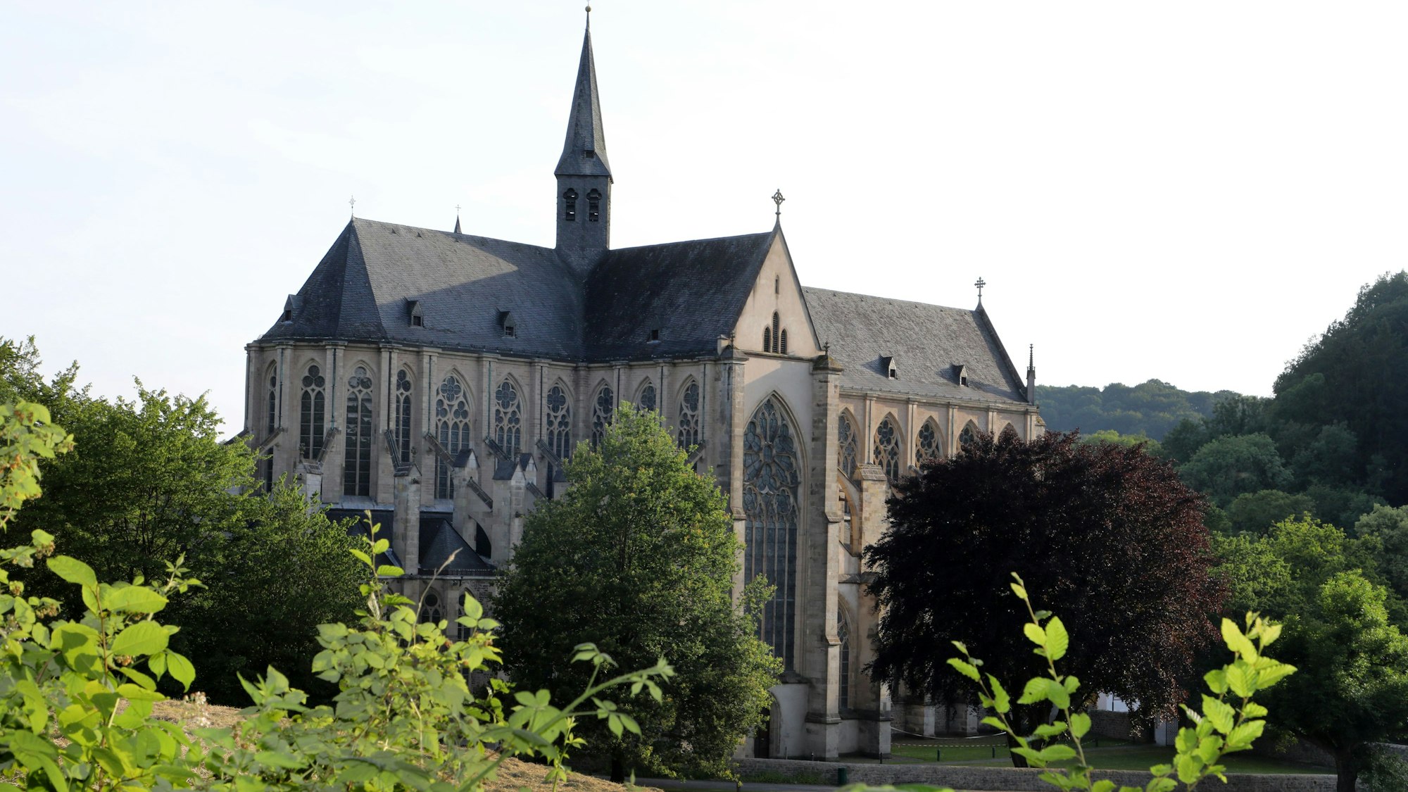 Über Pflanzen hinweg ist der Altenberger Dom in der Abendsonne zu sehen.