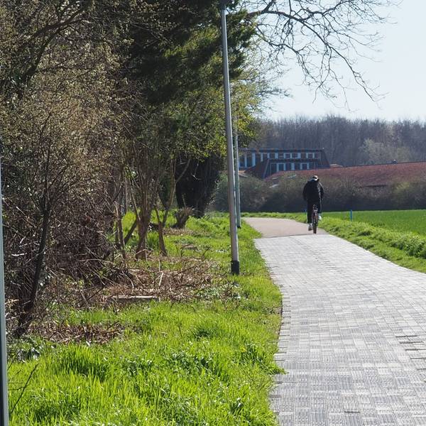 Solarradweg in Erftstadt-Liblar in schlechtem Zustand