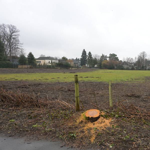 Eine Wiese in Bergisch Gladbach-Refrath. Hier könnte ein neues Viertel entstehen.