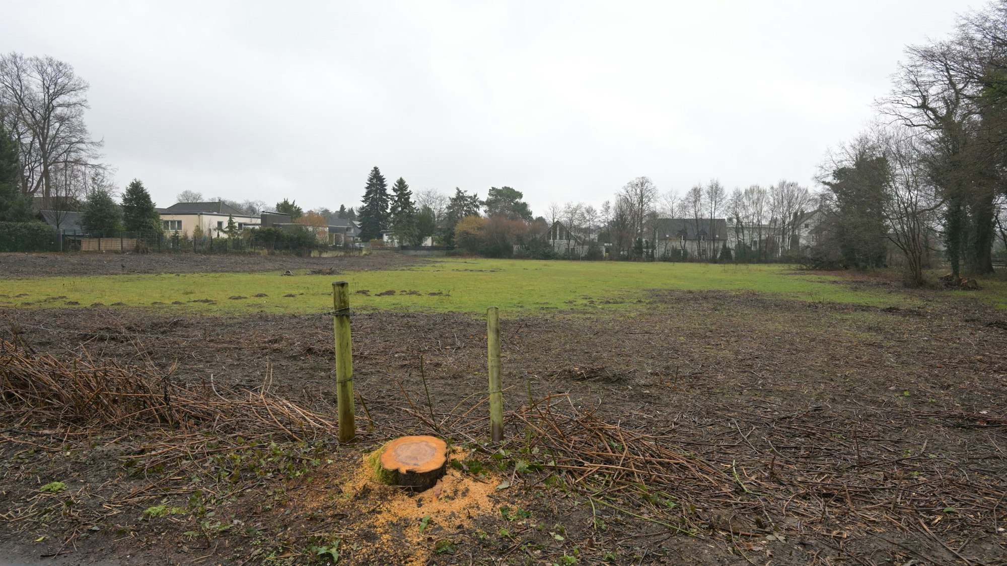 Auf der Wiese an der alten Marktstraße wird es keine Bebauung geben.