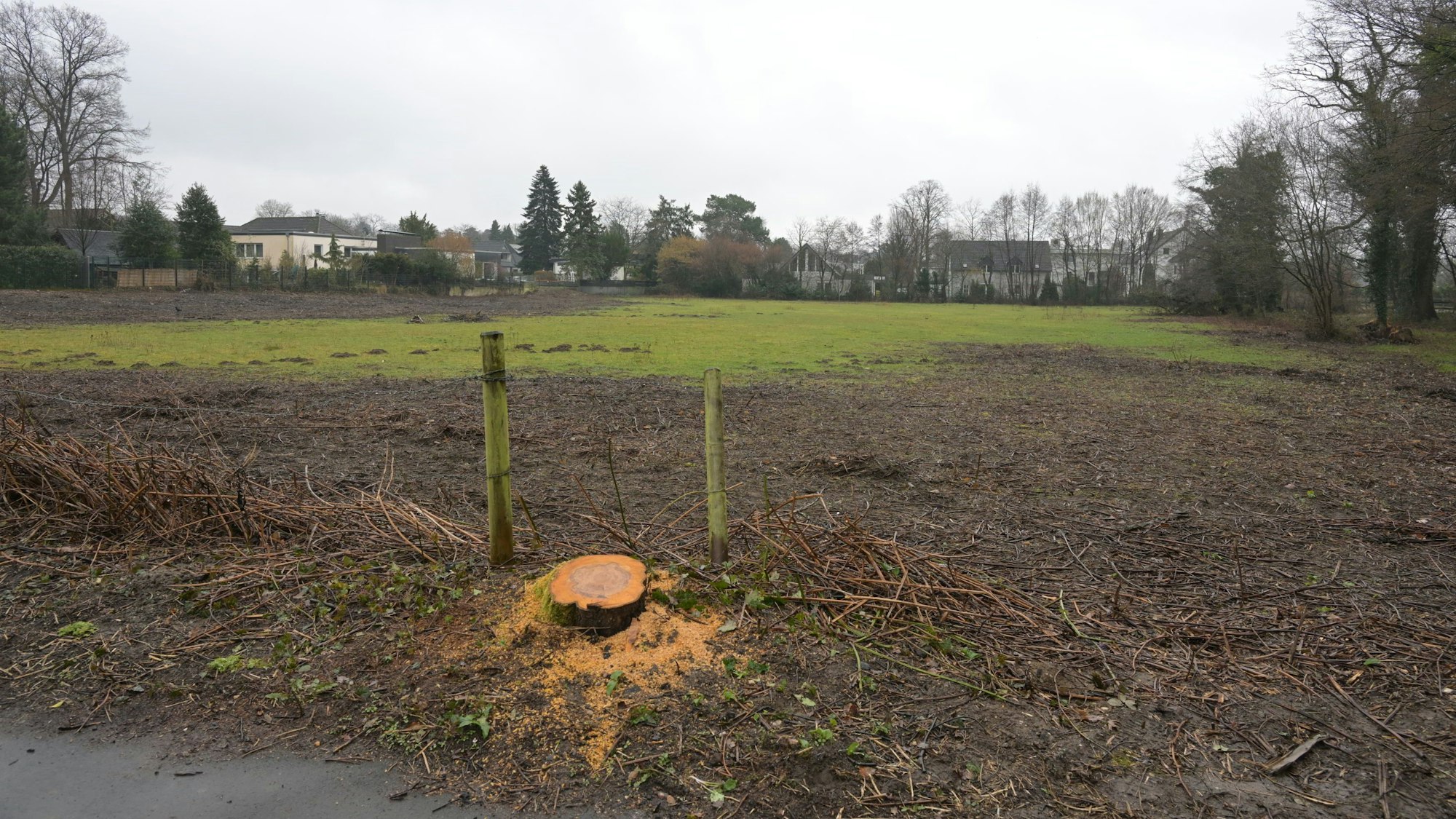 Eine Wiese in Bergisch Gladbach-Refrath. Hier könnte ein neues Viertel entstehen.