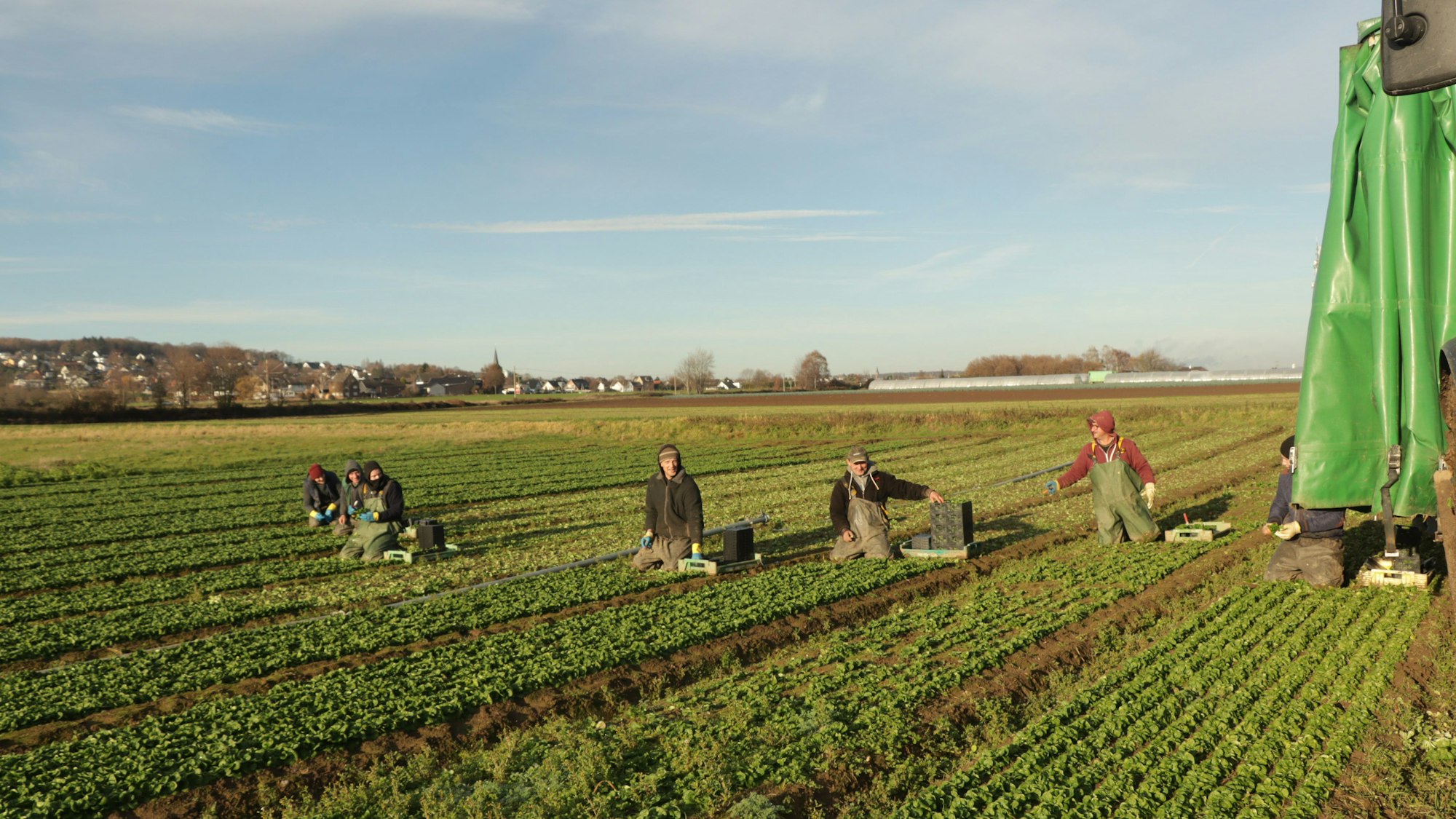 12.4.2023 Handarbeit auf dem Feld in Bornheim contra Maschine