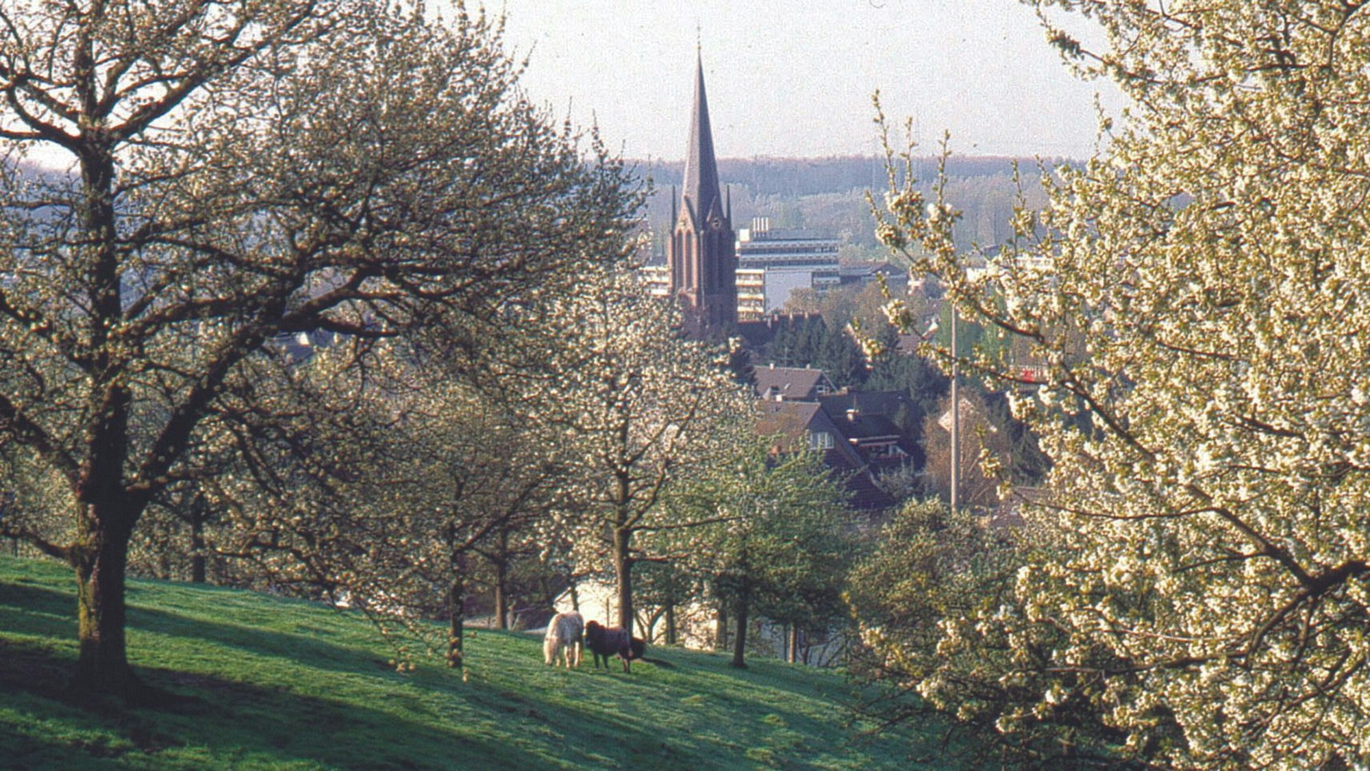 Obstweg in Leichlingen