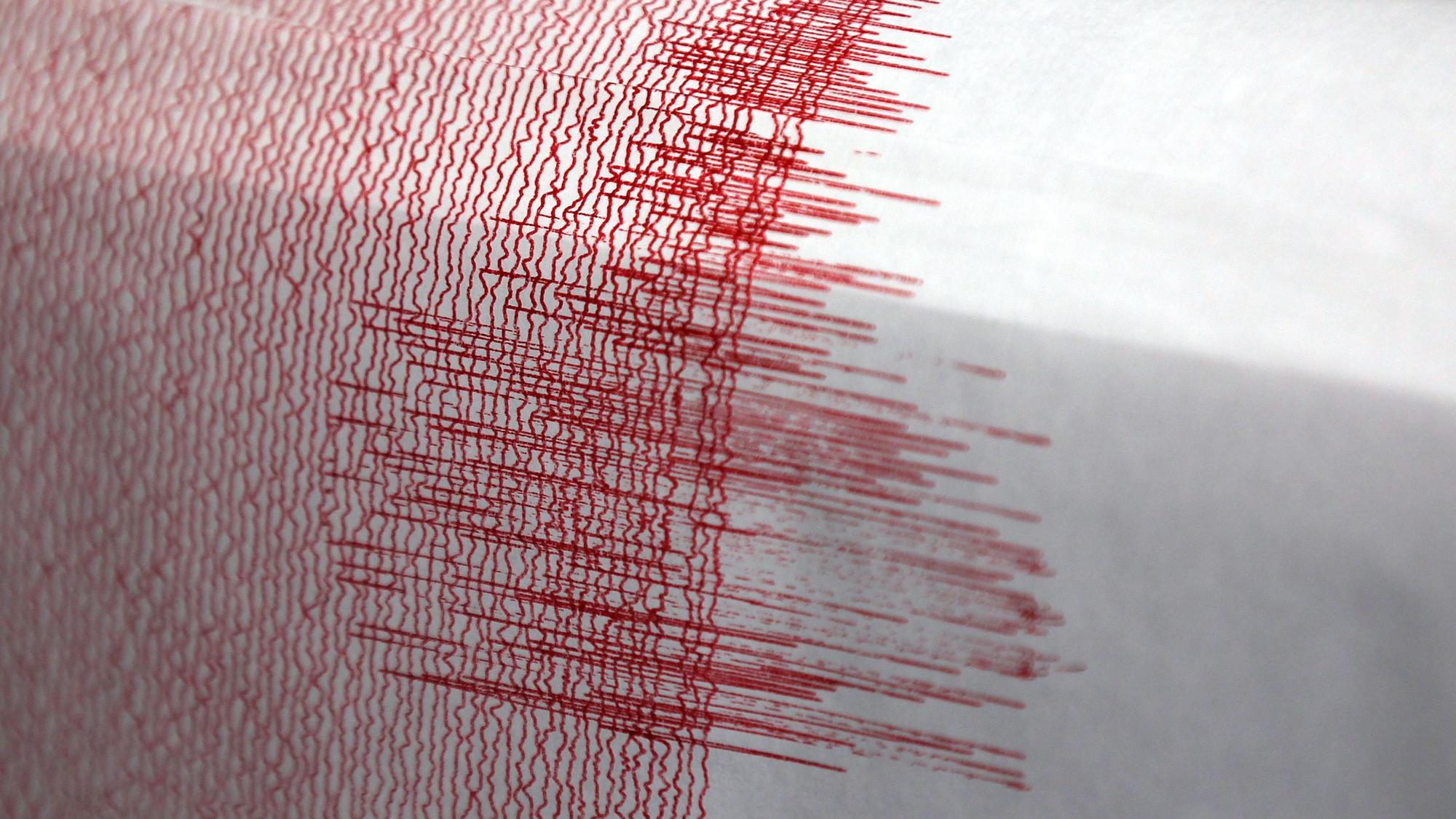 Der Seismograf einer Erdbebenwarte verzeichnet Ausschläge. (Symbolbild)