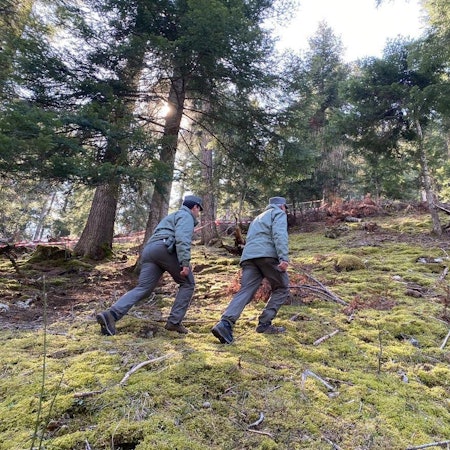 Italienische Polizisten suchen die Schwester von „Problembär“ Bruno. Die Bärin JJ4, auch Gaia genannt, hatte am Wochenende einen Jogger im Trentin getötet.