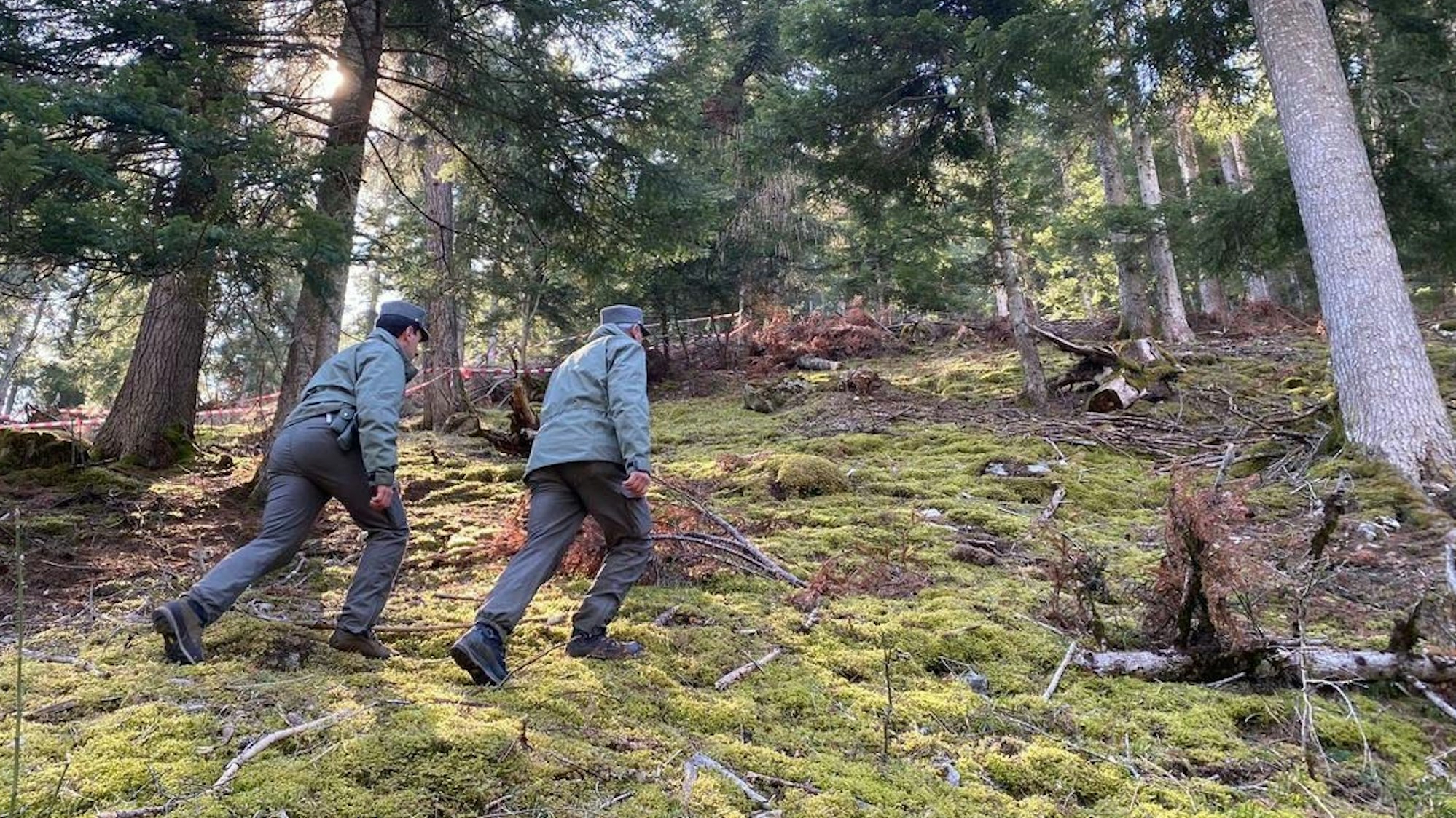 Italienische Polizisten suchen die Schwester von „Problembär“ Bruno. Die Bärin JJ4, auch Gaia genannt, hatte am Wochenende einen Jogger im Trentin getötet.