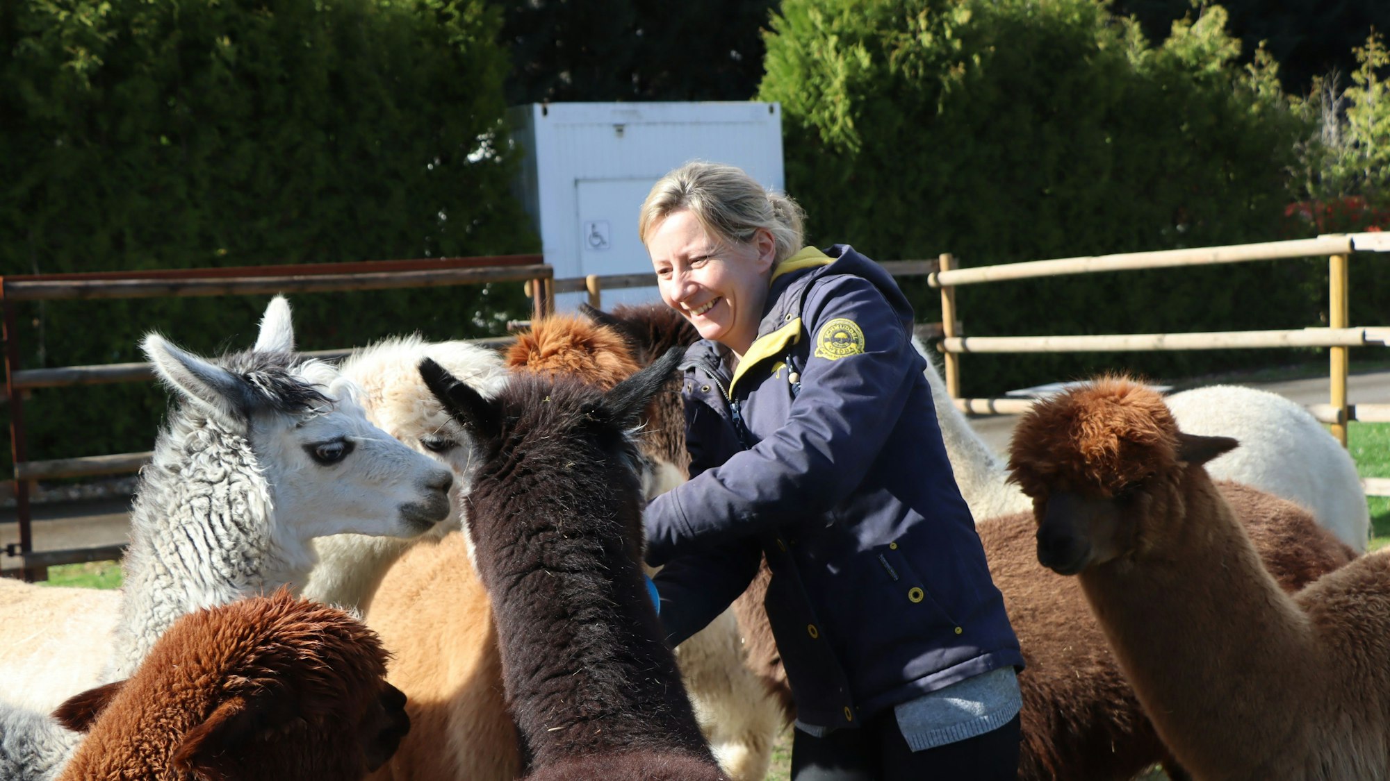 Sophie Abels steht lächelnd in der Mitte ihrer Alpakas.