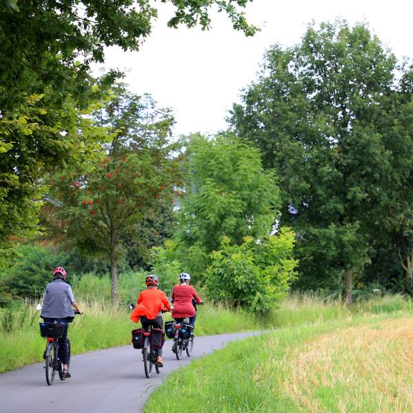 Drei Fahrradfahrer fahren auf einem Weg deben einem Feld.