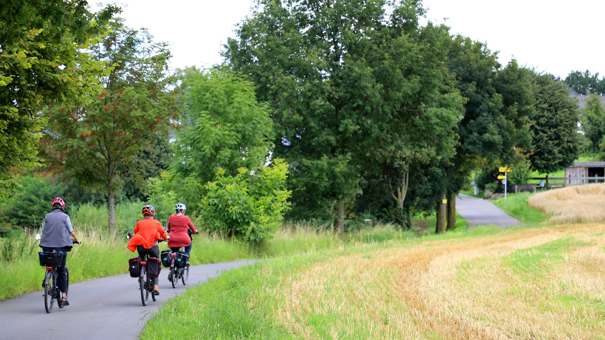 Fahrradfahrer fahren auf einem Radweg an einem Feld vorbei.