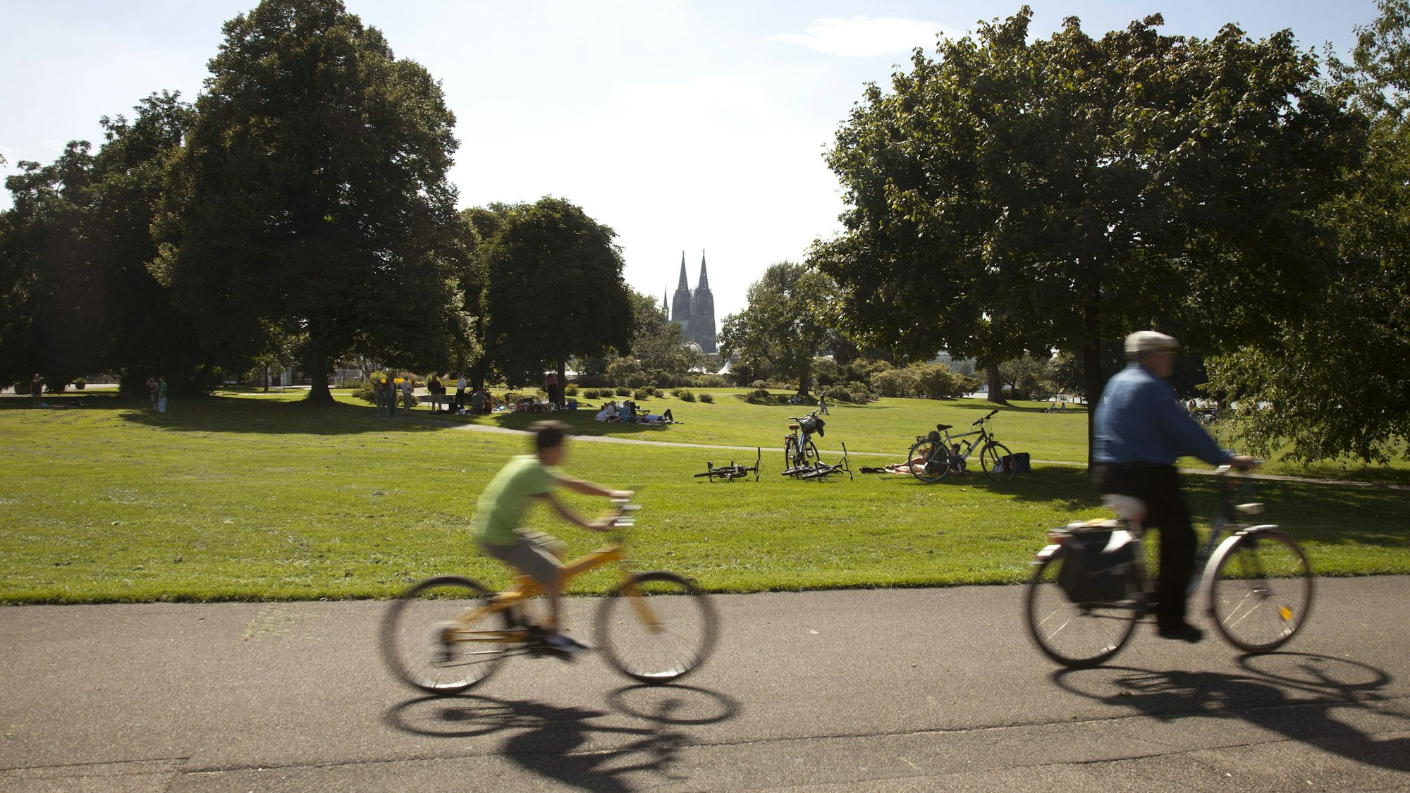 Blick vom Rheinpark auf den Kölner Dom.
