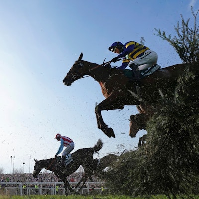 Pferde springen beim traditionsreichen Pferderennen Grand National auf der Rennbahn von Aintree nahe Liverpool über ein Hindernis.