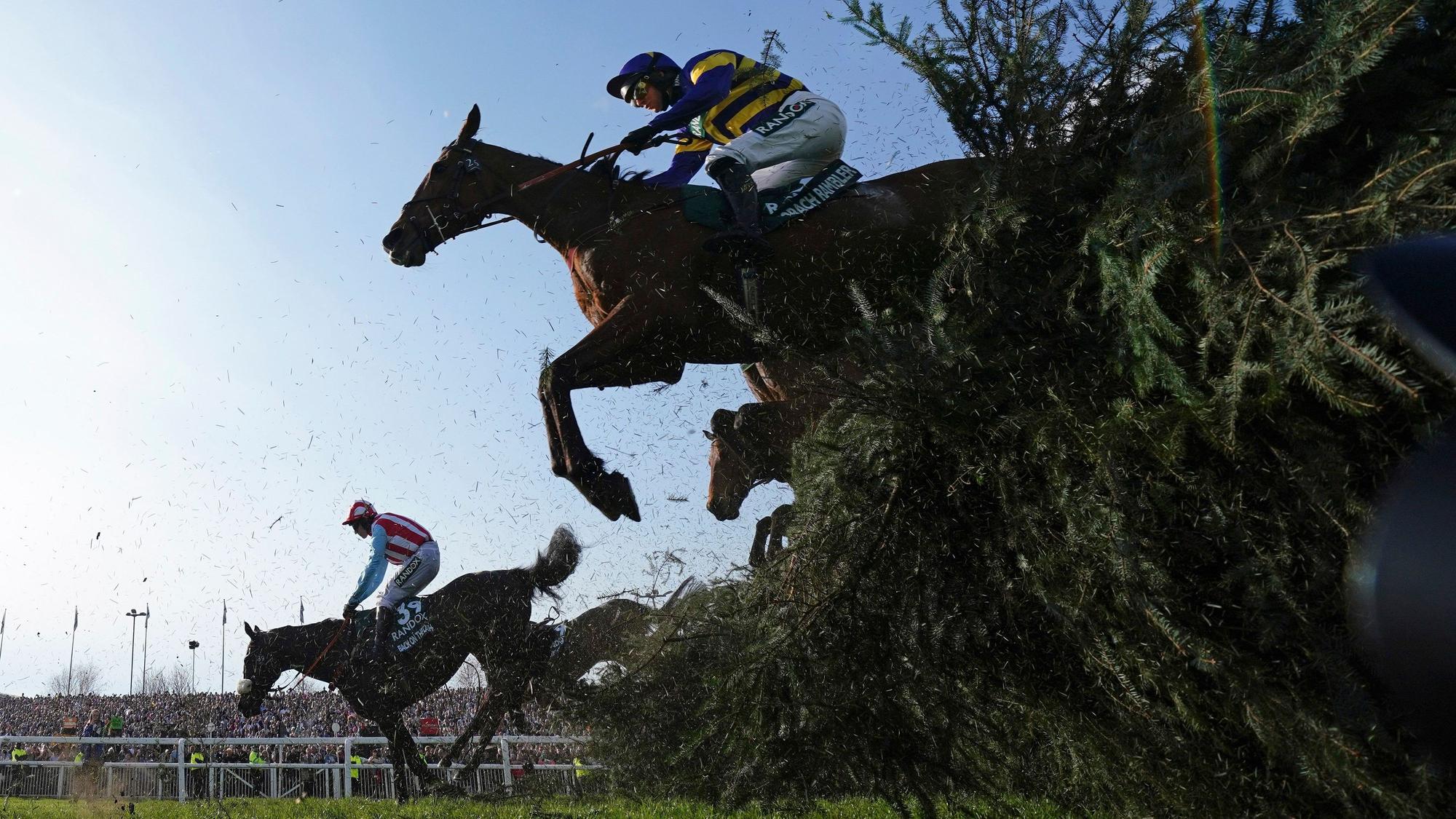 Pferde springen beim traditionsreichen Pferderennen Grand National auf der Rennbahn von Aintree nahe Liverpool über ein Hindernis.