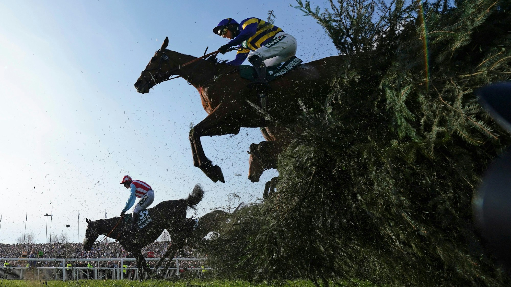 Pferde springen beim traditionsreichen Pferderennen Grand National auf der Rennbahn von Aintree nahe Liverpool über ein Hindernis.