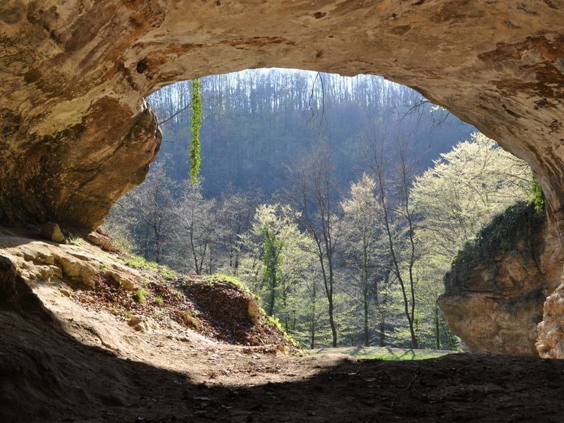 Blick aus einem Höhleneingang mit Blick auf Wald.