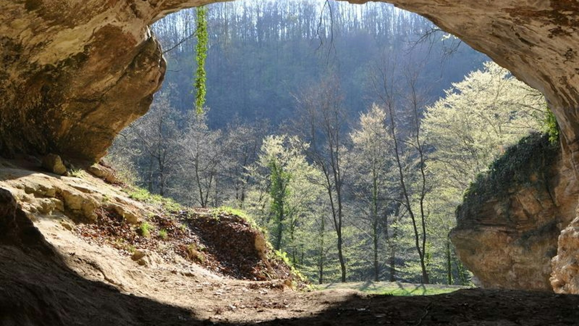 Blick aus einem Höhleneingang mit Blick auf Wald.