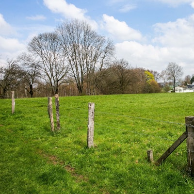 Wipperfürth, Thier, der Aher Busch.