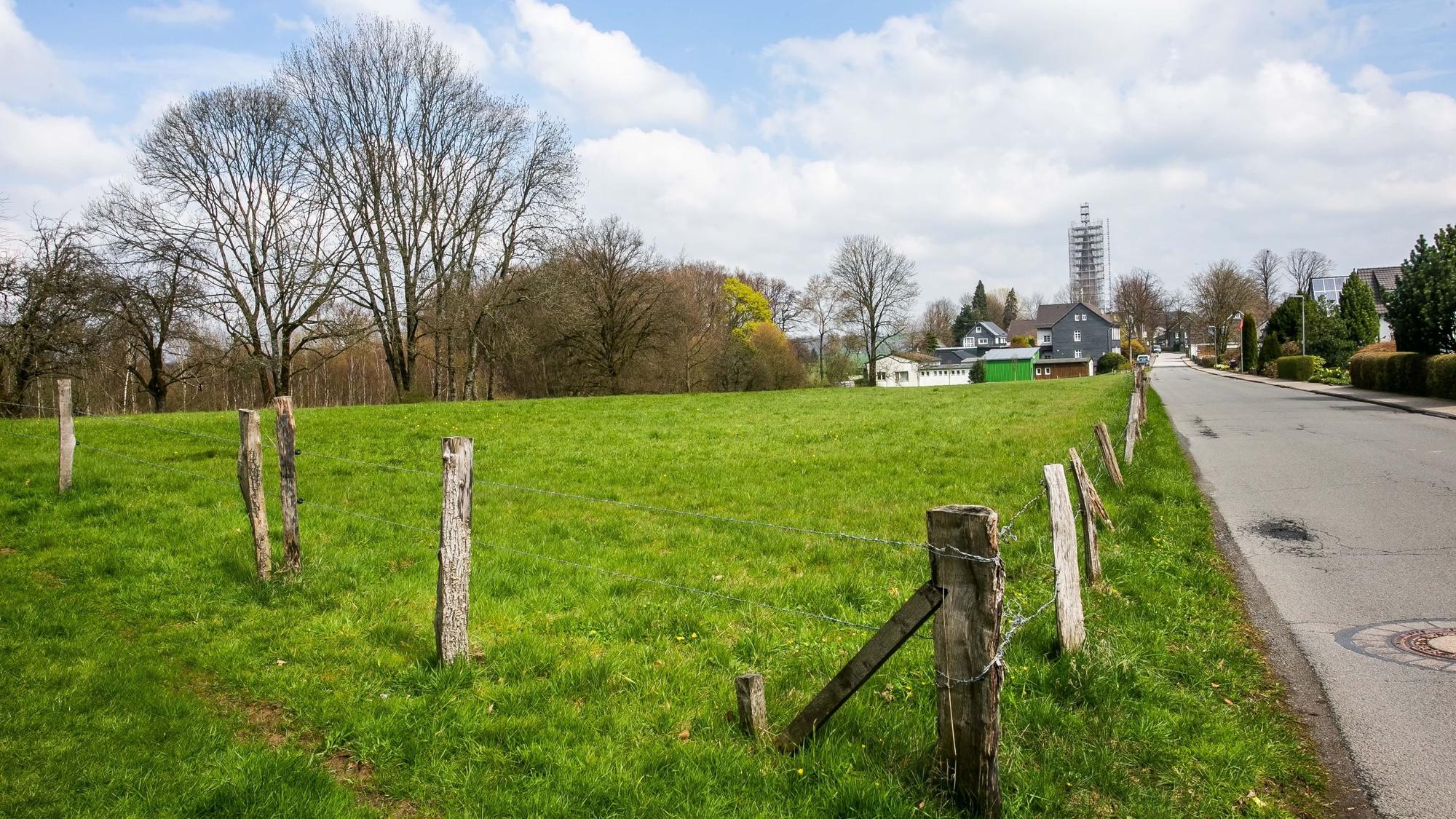 Das Foto zeigt eine Wiese in Wipperfürth-Thier, die jetzt ein Neubaugebiet wird.