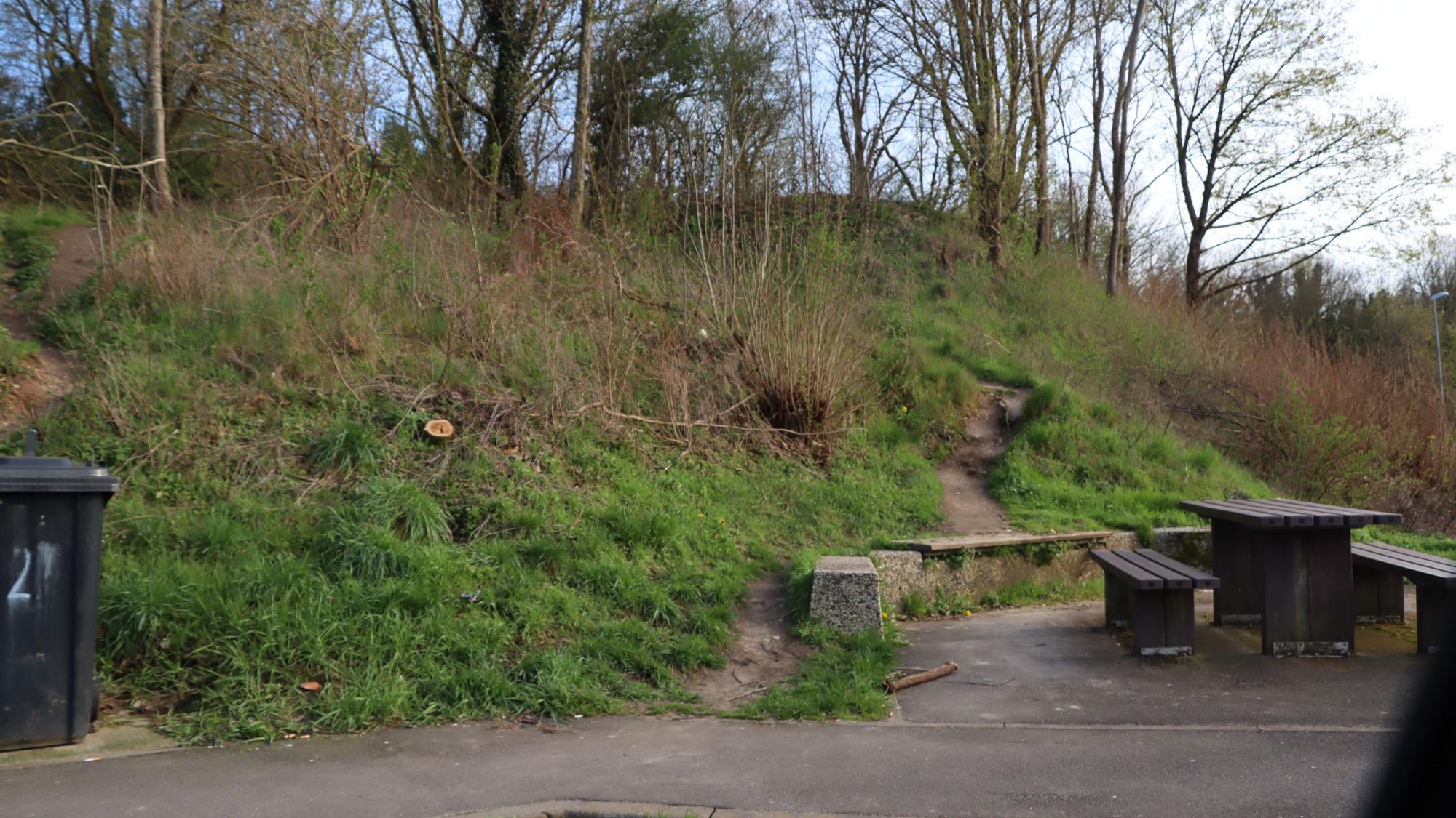Auf dem Foto ist ein Trampelpfad hinter einer Sitzecke auf dem Rastplatz zu sehen.