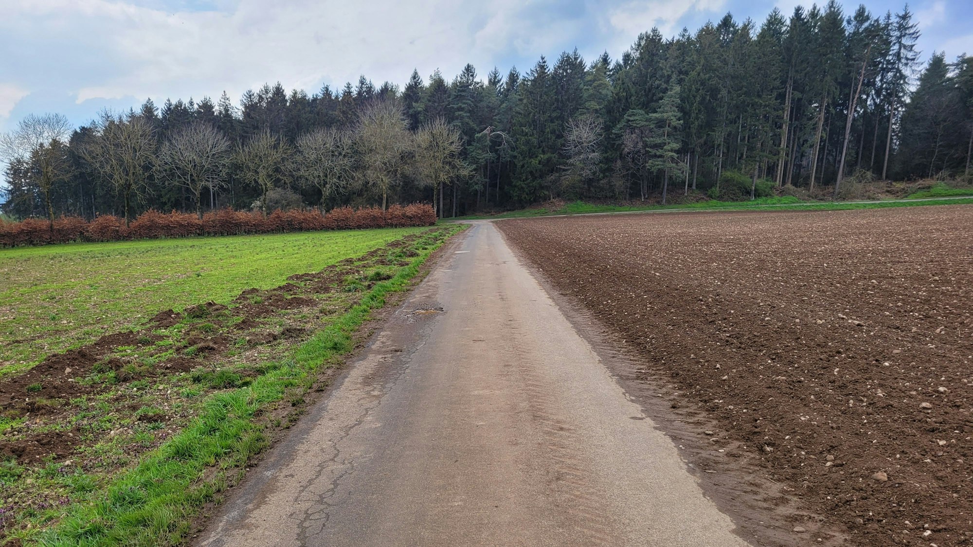 An den Feldern in Kall wurden Grünstreifen entfernt.