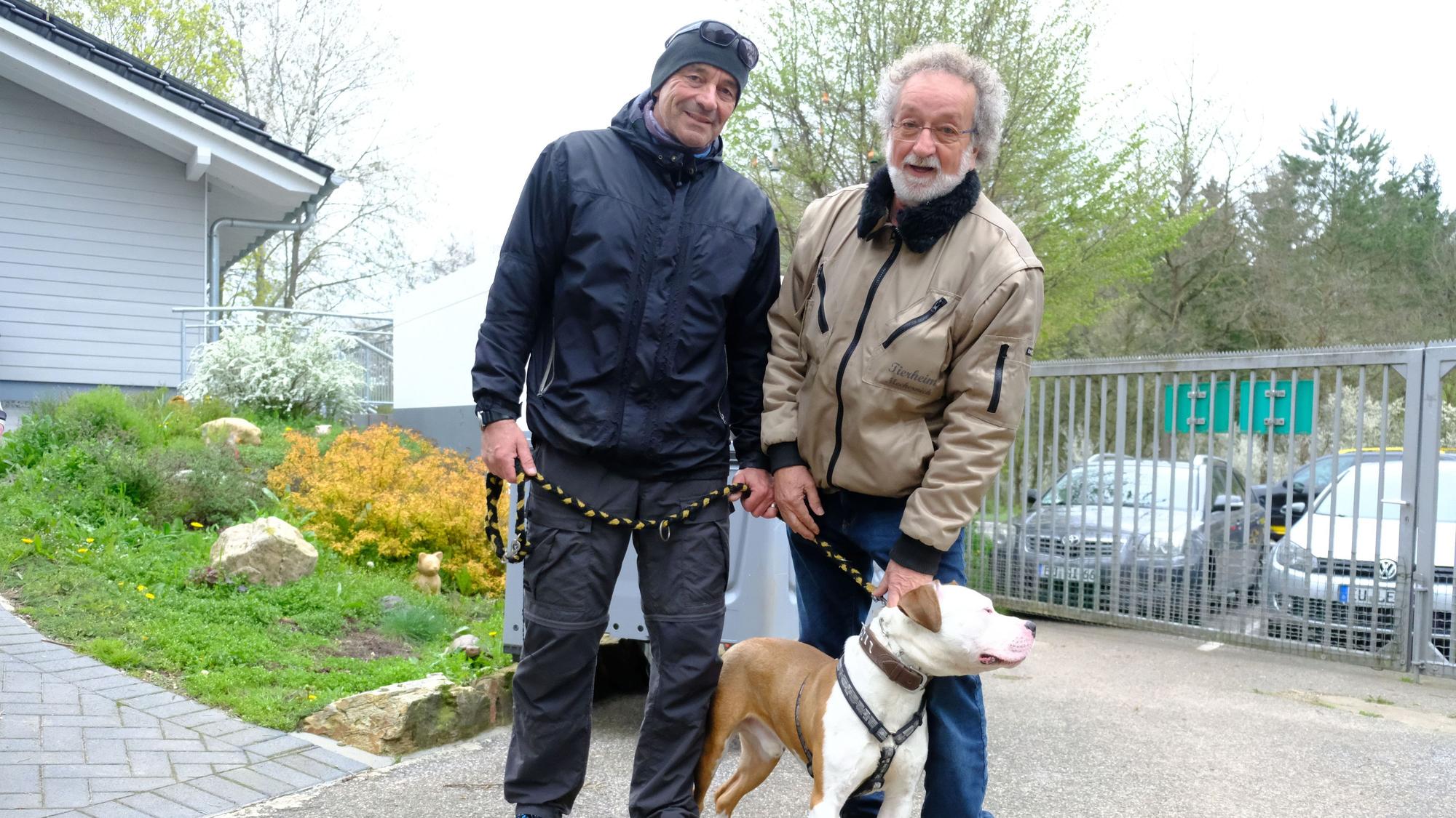 Vorstandsmitglied Frank Gensheimer und Vorsitzender Reiner Bauer (v.l.) mit dem Staffordshire-Rüden Toni.