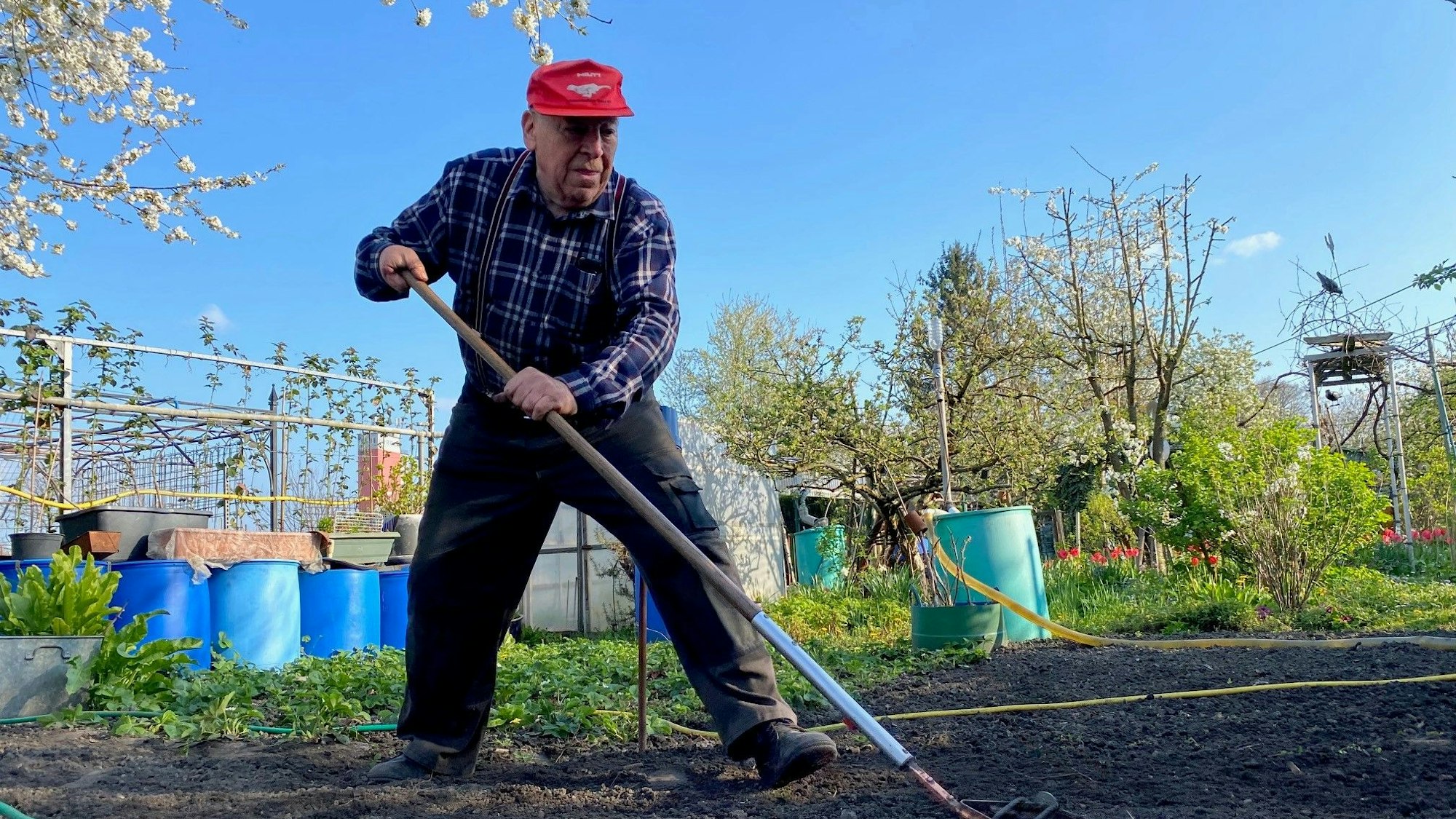 Herr Frank arbeitet bei gutem Wetter in seinem Schrebergarten. Er trägt ein kariertes Hemd und eine rote Kappe.