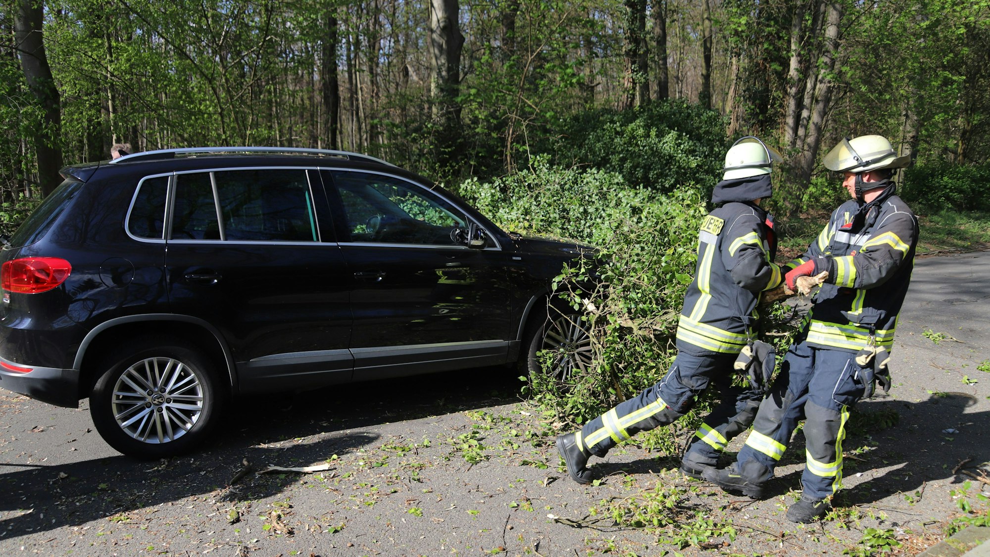 Feuerwehrleute ziehen einen Baum von einem Auto.