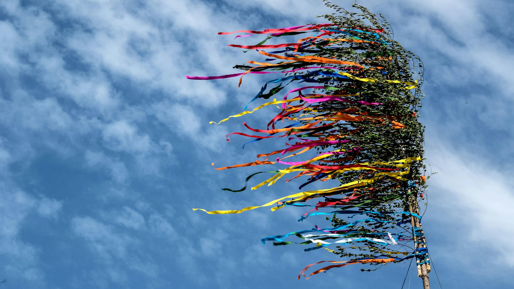 Bunte Bänder eines Maibaumes flattern vor dem blauen Himmel.
