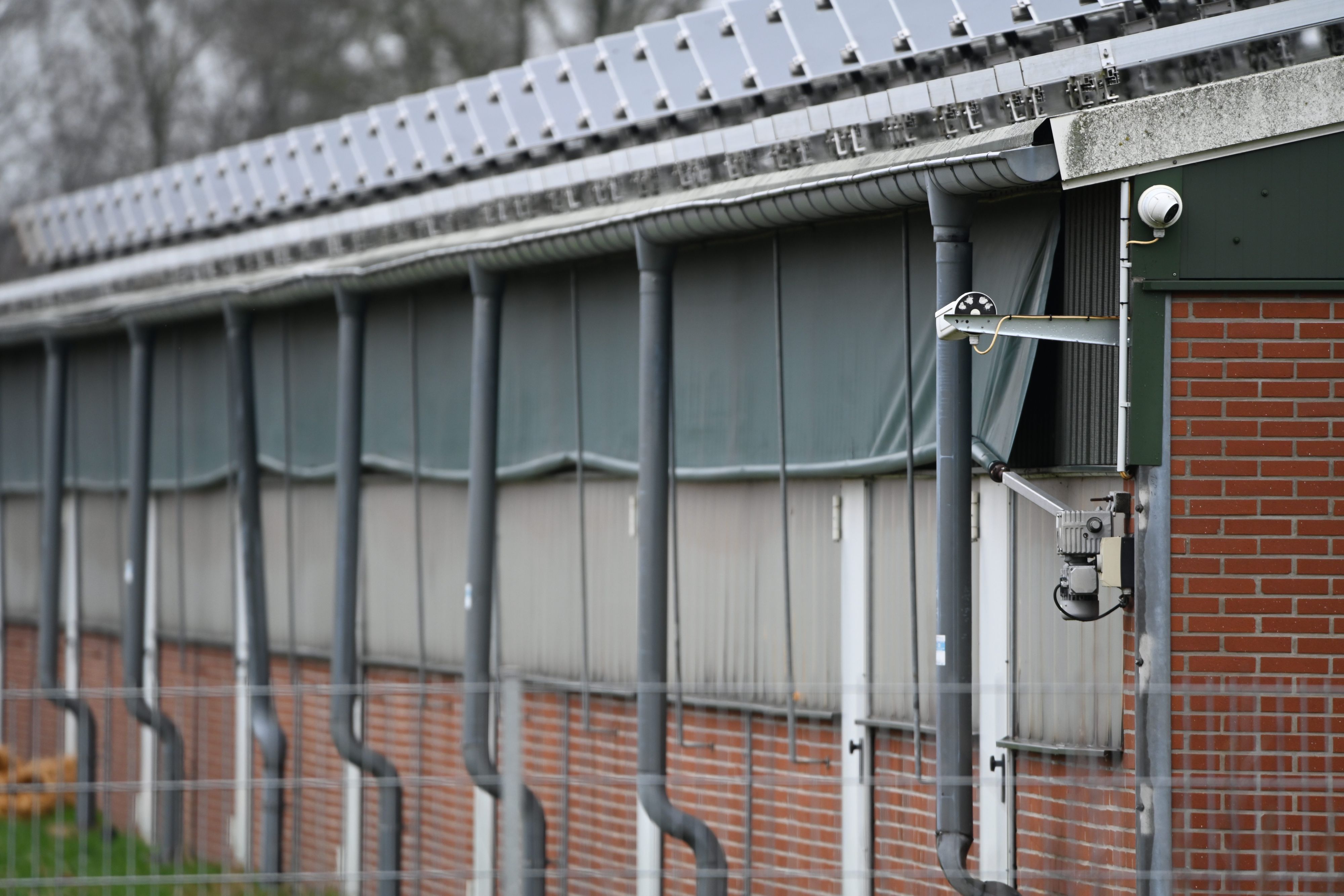Videoüberwachung auf dem Gelände eines Schweinemastbetriebs. (Symbolbild)