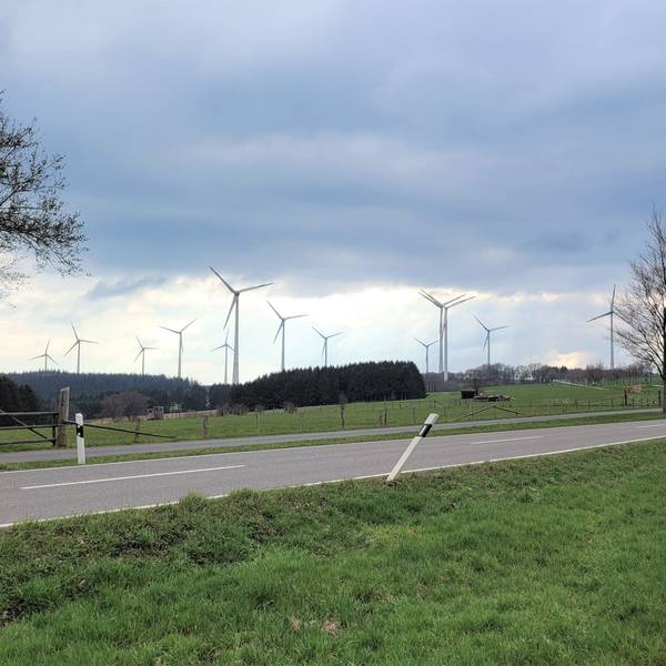 Der Windpark Schöneseiffen.