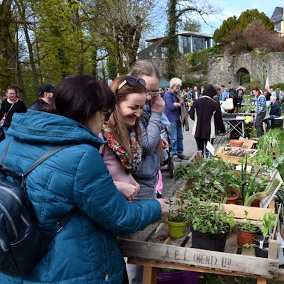 Menschen auf der Pflanzentauschbörse im Gespräch.