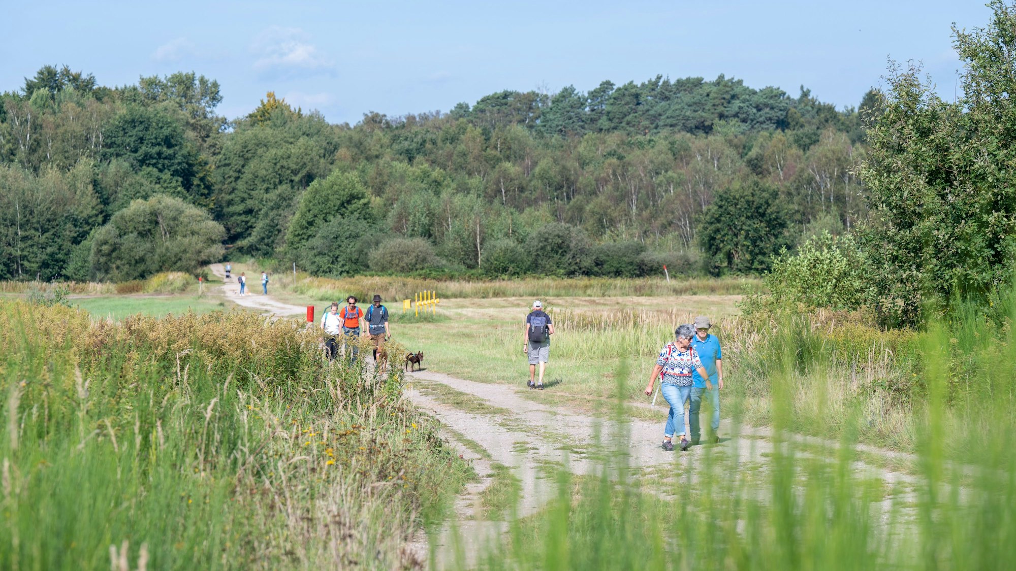Menschen spazieren durch eine Heidelandschaft in Köln