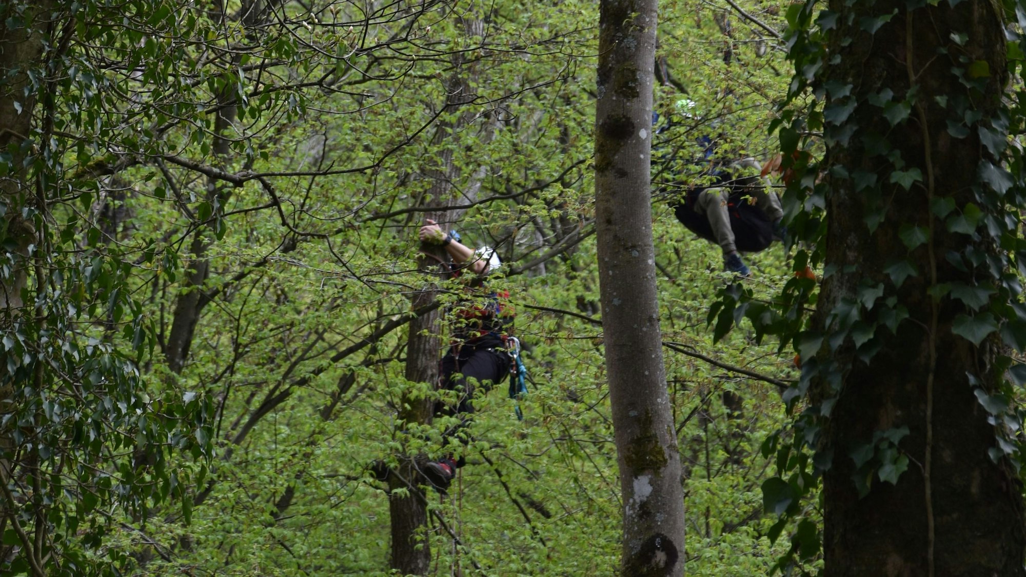 Der abgestürzte Gleitschirmpilot wird durch Höhenretter der Feuerwehr gerettet. Eineinhalb Stunden musste er in der Baumkrone ausharren.