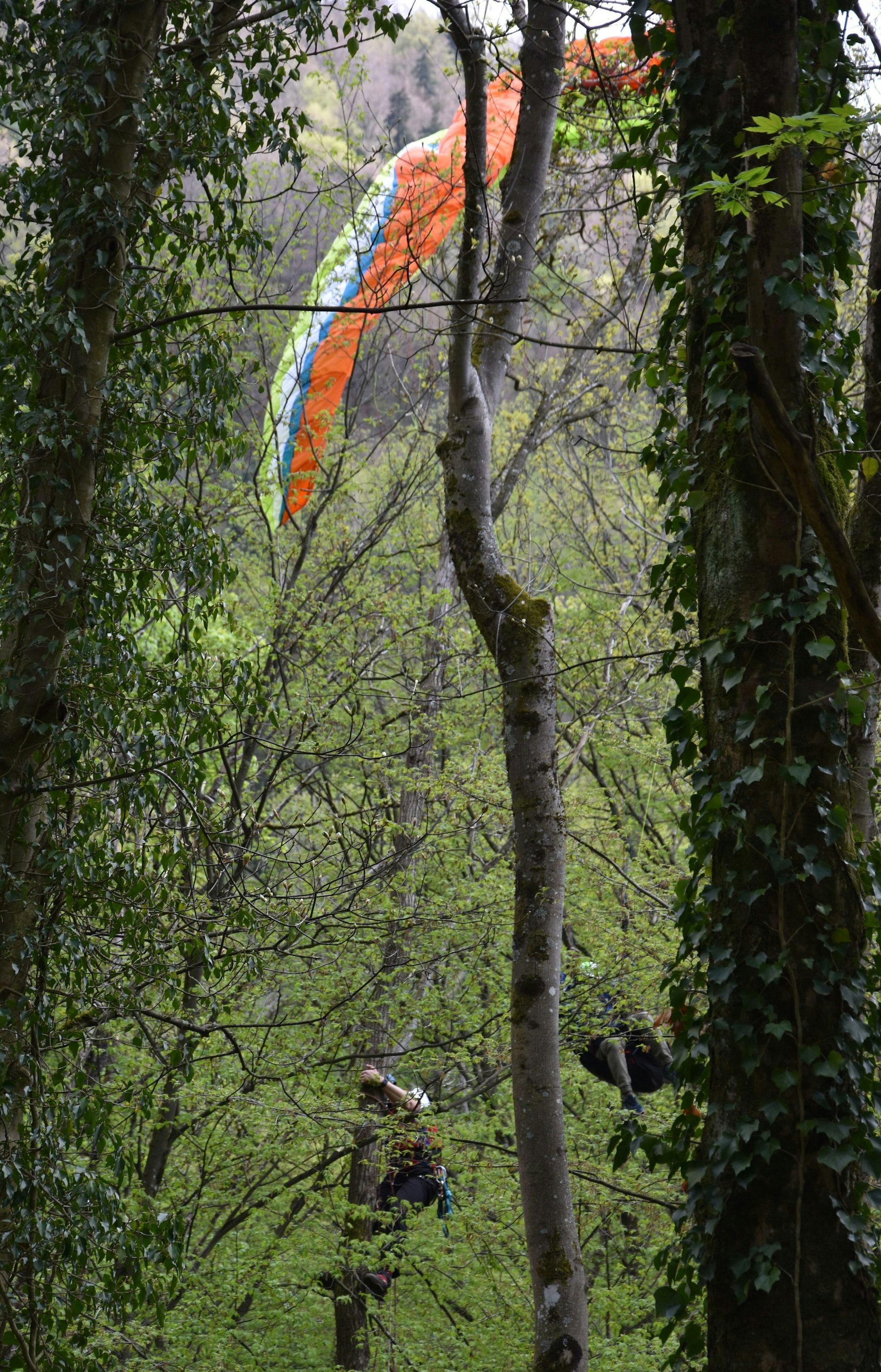 Höhenretter der Feuerwehr bergen einen Gleitschirmpiloten der abgestürzt und zwischen Bäumen hängen geblieben war.