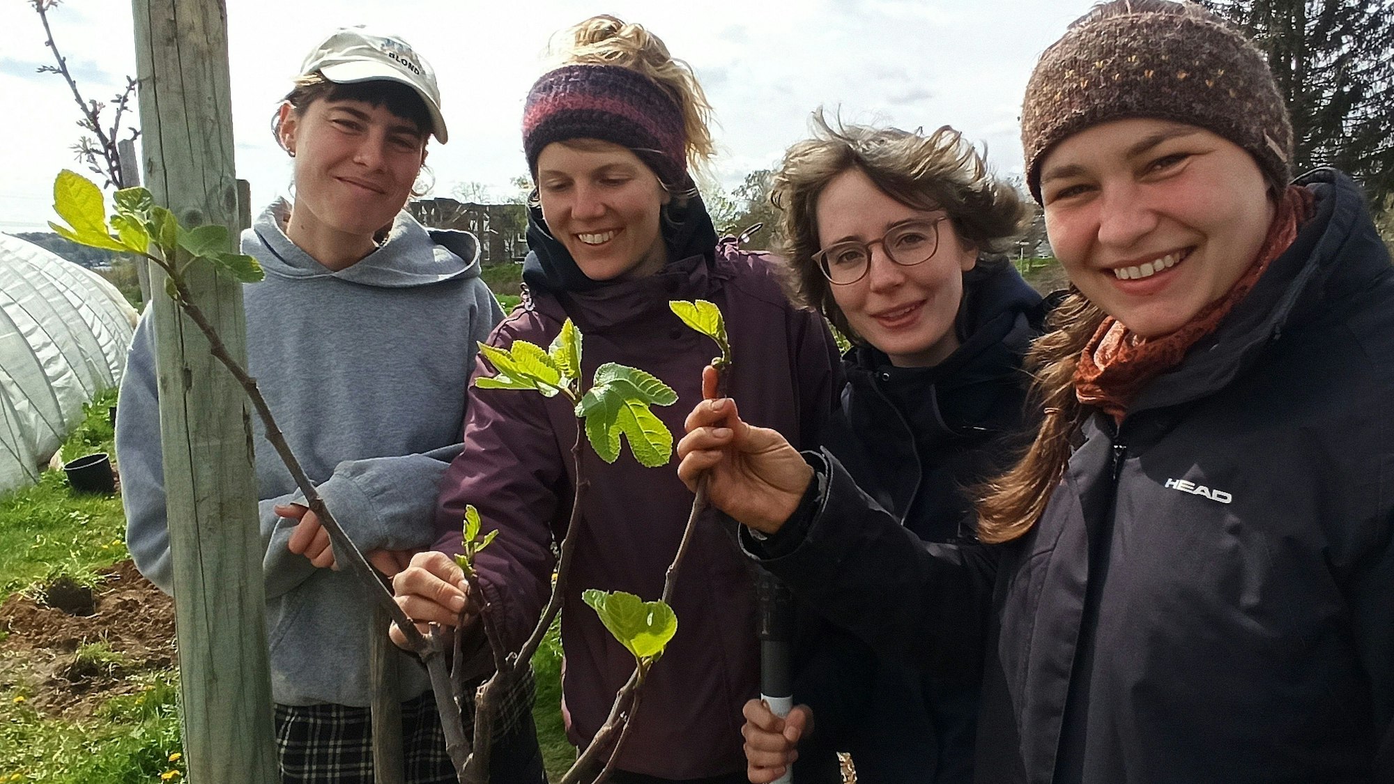 20,. April 2023. Alfter. Auf dem Äckern der Solidarischen Landwirtschaft Alfter wurden Feigen gepflanzt (von links): Greta Wierichs, Paulina Saerbeck, Ada Spieß und Sandra Ehrmann. Foto: Frank Engel-Strebel