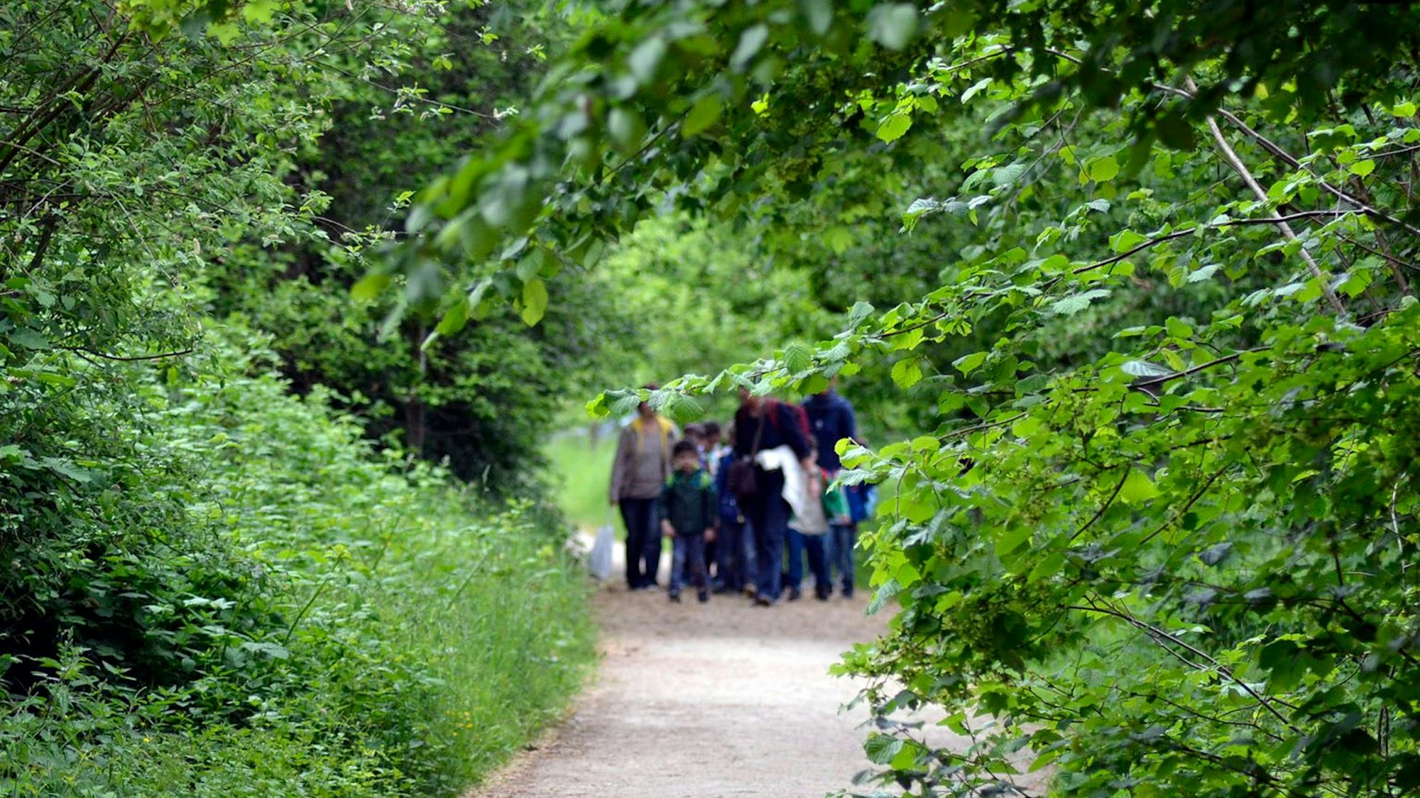 Menschen in einem sehr grünen Garten